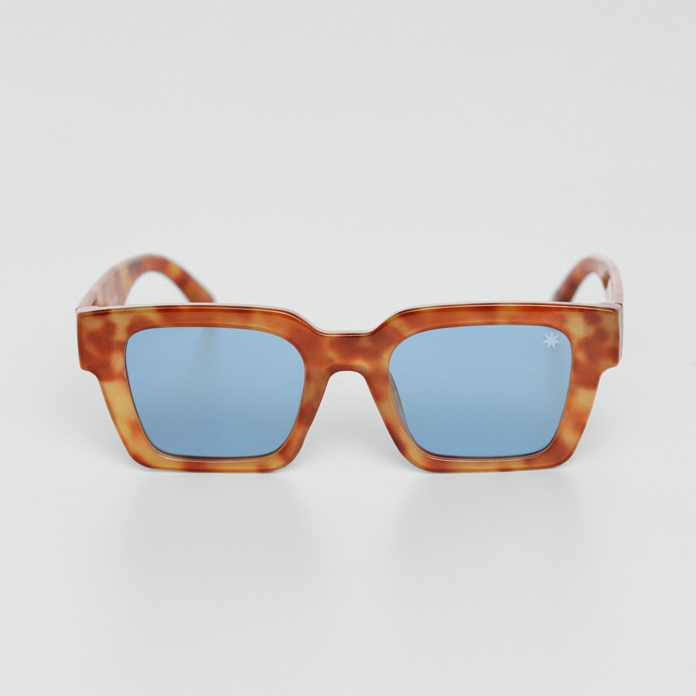 Óculos de Sol DC Slide - Havana/Azul